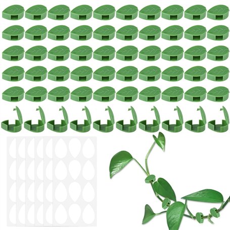 Bafumiu Pack de 60 Support Plante Grimpantes