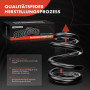 Frankberg 2x Ressorts de suspension Essieu Avant Compatibles avec 207 WA WC 2006-2015 207 CC WD 207 SW WK 2007-2013 Remplacer# 5