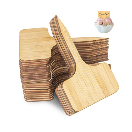 GIDWRIY 40 Pièces Etiquette Plantes Jardin