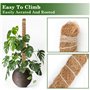 VFANDV Tuteur Plante, 120CM Support Plante Grimpante Tuteur Coco avec Twist 2 Meter pour Soutenir Les Plantes, pour Plante Jardi