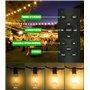 Guirlande lumineuse LED d'extérieur avec télécommande - 45 m - G40 - Avec ampoules d'extérieur IP44 - Résistante aux intempéries