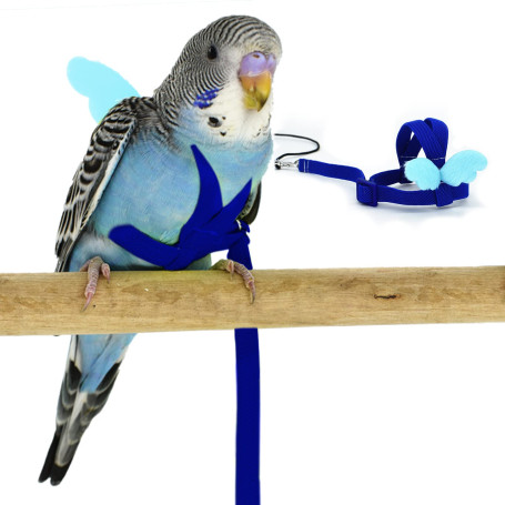 Budgerigar Harnais et Laisse pour Perroquet