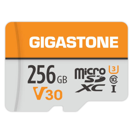 Gigastone Carte Mémoire 256 Go Compatible avec Gopro Caméra Drone Samsung Tablette