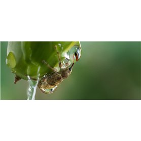 7 m + poignée Invisible Ultra légère à 360° (Compatible avec Toutes Les caméra