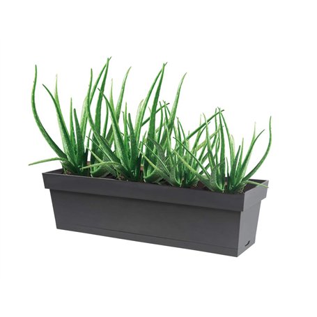 Hip Hop Honour Casquette Baseball Bleu Rose Tropical Night - Taille Unique - Rose