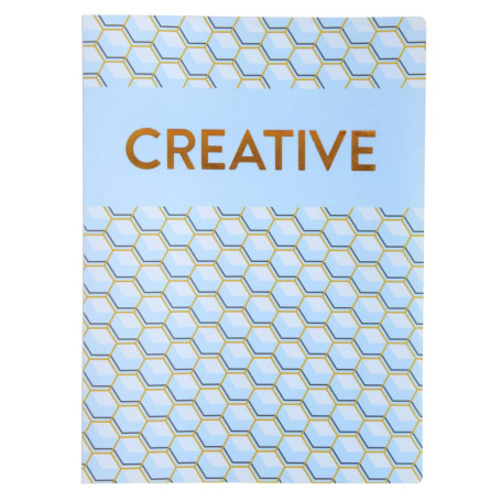 Exacompta - Réf. 85230E - 1 PROTÈGE-DOCUMENTS EN POLYPROPYLÈNE SEMI-RIGIDE COPPER TIME 80 VUES - A4 - Visuels assortis