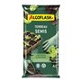 Algoflash Terreau Semis
