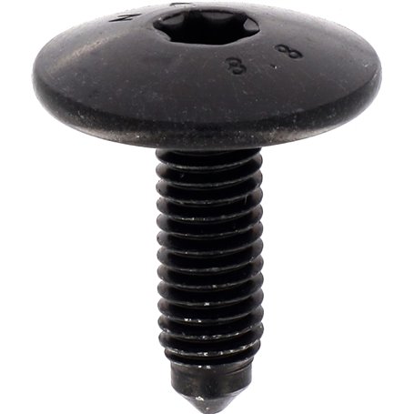 Restagraf - Vis Cylindrique Bombée Large Torx Spéciales Bouclier