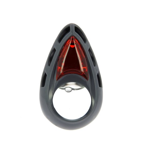 Carlinea 190107 Air Nice Pêche