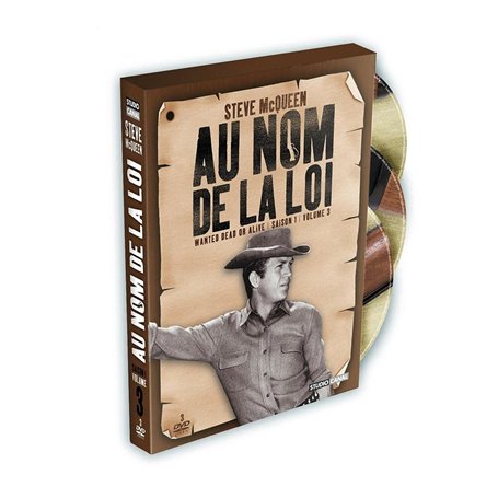 Au nom de la loi : saison 1