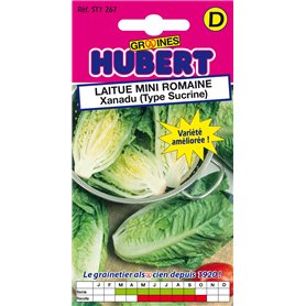 Graines de Laitue Mini Romaine Xanadu (Type Sucrine) - 0,5 grammes Graines de Laitue Mini Romaine Xanadu (Type Sucrine) - 0
