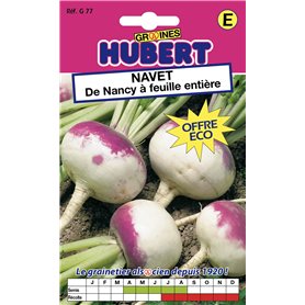 Graines de Navet de Nancy à feuille entière - 12 grammes Graines de Navet de Nancy à feuille entière - 12 grammes