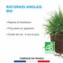BARENBRUG - Ray-grass anglais BIO - Rapide d’Installation - Polyvalent et Appétent - Durée de Vie 4 ans et + - Production Alimen