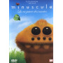 Minuscule : la vie privée des insectes - Saison 1