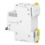 iC60N disjoncteur 2P 16A courbe C - A9F77216