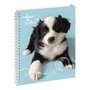 Exacompta - Réf. 9991633E - 1 Cahier de textes Animaux Chiot Balle 17 x 22 cm - Visuel Chiot