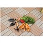 LAGUIOLE - Set de 3 Outils de Jardinage avec Boîte de Rangement