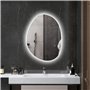 HOMCOM Miroir Salle de Bain 70 x 50 cm