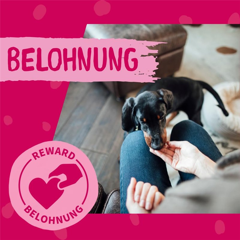 Plugger Câble d'alimentation PowerCON mâle à verrouillage vers PowerCON mâle à verrouillage. Longueur 1