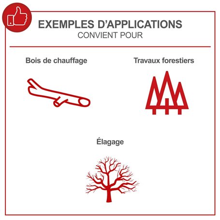 Columbo-L'Intégrale