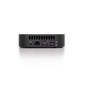 TOPI GAMES | Jeu de Société Rollword | Pétanque avec Dés Géants | Jeu d'Adresse et de Lettres | Activité Vocabulaire | Famille o