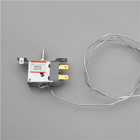 3L - Température Réglable 45-100°C - Bouilloire avec Thermostat & Garde au Chaud - Ch