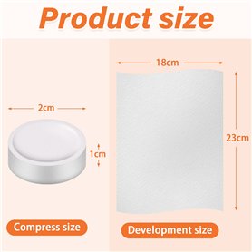 Faurever-Tribute to Gabriel Fauré