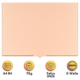 Fauré: 13 Barcarolles & Ballade OP. 19