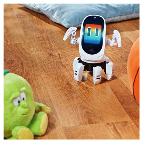 Capuchons de Véhicule