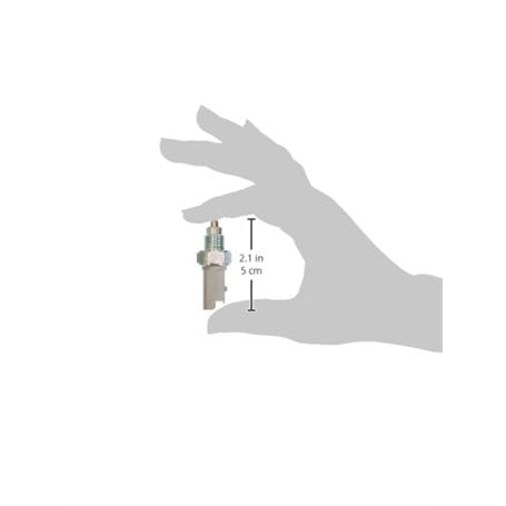 AVERY - 10 Étiquettes Ultra-Resistantes Personnalisables Polyester - Format 210 x 297 mm - Impression Jet d'Encre