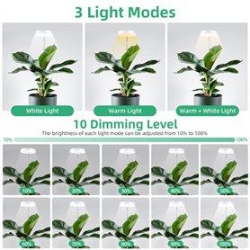 Schläfer | 4390 - Tube Plongeur pour Siphon avec Bride, Tuyau de Vidange Réglable en Laiton 1" 1/4 Ø 32 x 250 mm Chromé Rallonge