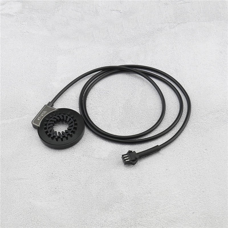 Nathan - Puzzle 500 pièces - Chaton au jardin - Adultes et enfants dès 12 ans - Puzzle de qualité supérieure - Encastrement parf