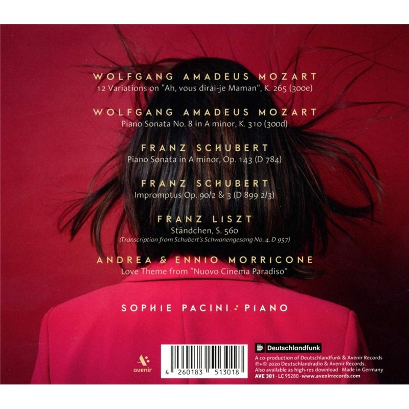 Pebaro 834/1 - Kit de Construction Solaire en Bois - Moulin à Vent - Puzzle 3D - Kit de Bricolage avec Bois - Puzzle en Bois - K