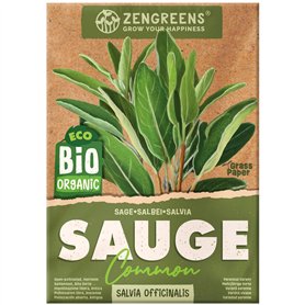 Festool Scies IS 330 EB