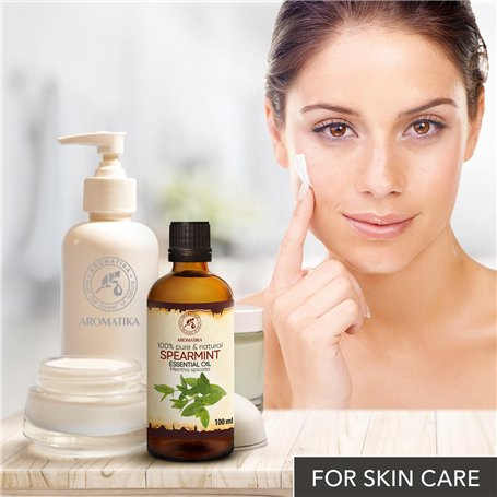 TESTO Anémomètre à hélice 100mm et Jeu de cônes 417 kit 1-TESTO-0563 1417