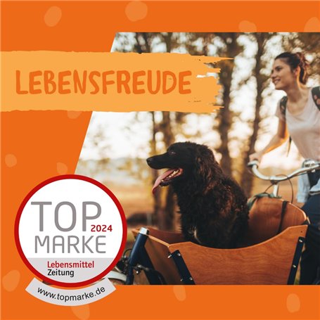 Osram Halogen-Lampe basse tension