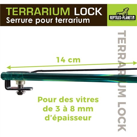 Post-it Notes Autocollantes, Couleurs Poptimistic, Pack de 6 Blocs, 100 Feuilles par Bloc, 76 mm x 127 mm - Feuillets Adhésifs p