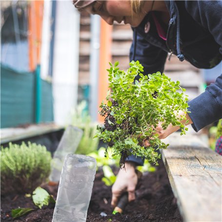 PROANTI Lot de protections de moto - Pour dos