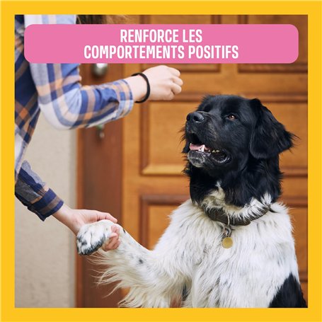 SvediTec Câble USB pour appareil photo numérique Canon EOS 5D Mark III - Câble de données - Longueur : 5 m