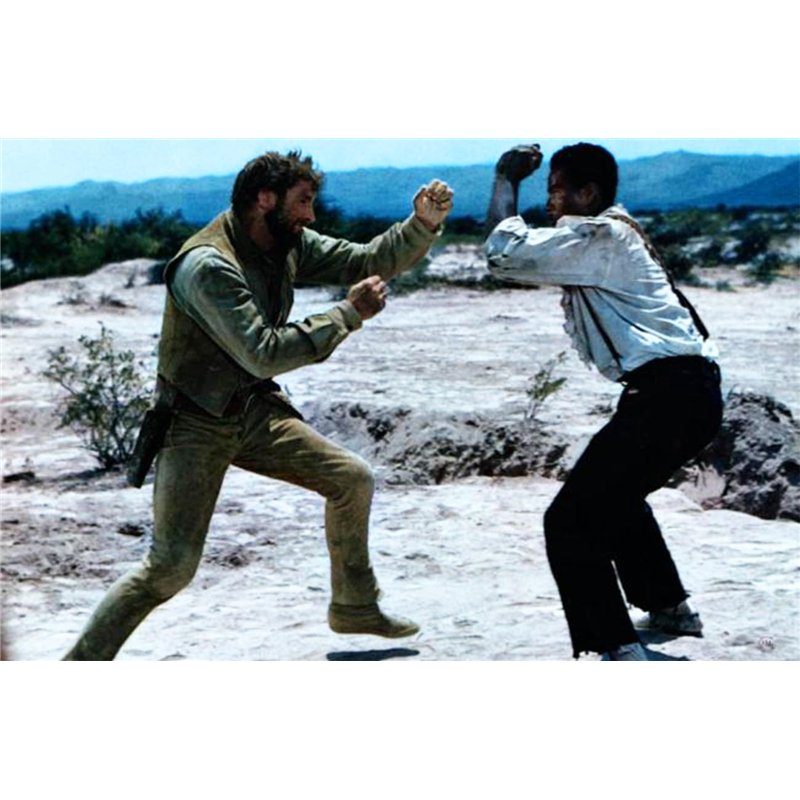 Pcs - 10x Sesbania Bispinosa Stachelige Sesbanie Jardin Plantes - Graines ID1579 - Seeds & Plants Shop by Ipsa