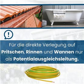 rs-products I Lot de 10 sacs d'aspirateur compatibles avec ELECTROLUX EasyGo : EEG43WR