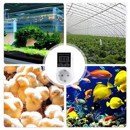 Schwertkrone Ensemble de 4 Pinces à Épiler en Acier Inoxydable - Précision Professionnelle pour Sourcils