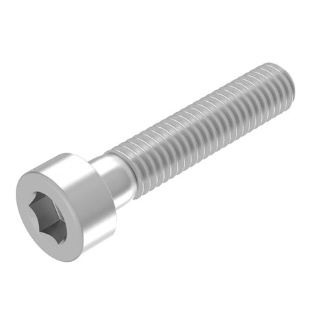 SECCARO Vis cylindriques M8 x 40 mm inox V2A VA A2