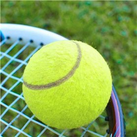 Bodify Lot de 2 coussinets de rechange d'origine (sans contrôleur) pour entraîneur de bras et de jambes EMS Pro - Pour homme et