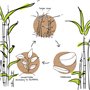 Greenbox - Vaisselle jetable en bagasse respectueuse de l'environnement - 50 assiettes rondes blanchies - En canne à sucre - Ass