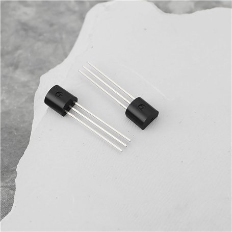 Blumtal Taie Oreiller 40x70 Lot de 2 - Housse de Coussin Microfibre - Taies d'oreillers avec Fermeture enveloppe, certifiée Oeko