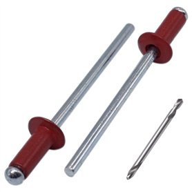 ZenGreens® – Graines de sauge bio - Graines d'herbes aromatiques à cultiver facilement au jardin, sur le balcon ou en cuisine –