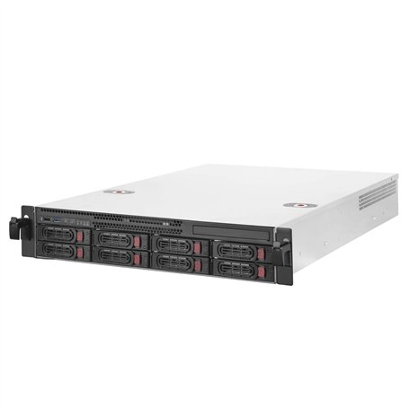 SilverStone Technology SST-RM22-308 - Châssis de Serveur monté en Rack 2U
