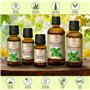 Huile Essentielle de Menthe Poivrée 1000ml - Mentha Piperita - Aromathérapie - Parfum d'Ambiance - Huile Essentielle de Menthe P