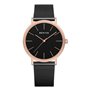 Montre Unisexe Bering 13436-166
